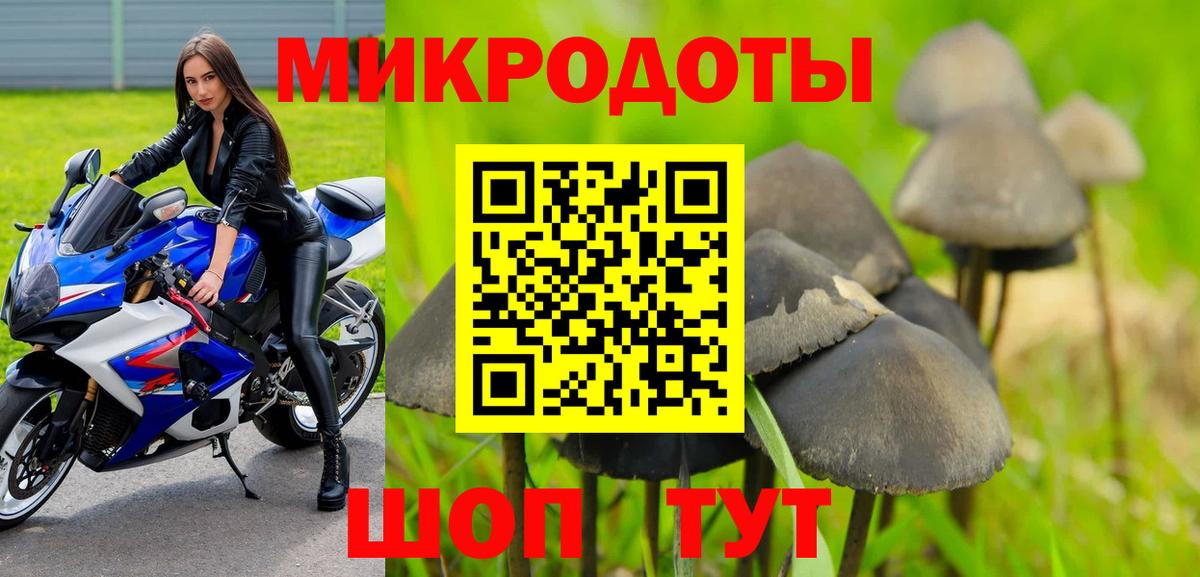 Псилоцибиновые грибы Psilocybine cubensis Минеральные Воды