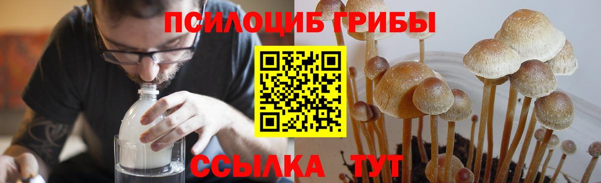Минеральные Воды  Галлюциногенные грибы мухоморы  Вход с VPN 